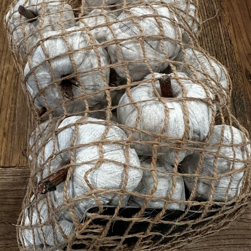 Rustic White Decorative pumpkin String
